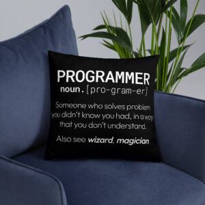Theory of Relativity Programmer Techie Pillow