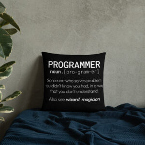 Theory of Relativity Programmer Techie Pillow