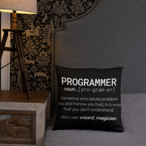 Theory of Relativity Programmer Techie Pillow