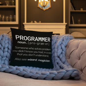 Theory of Relativity Programmer Techie Pillow