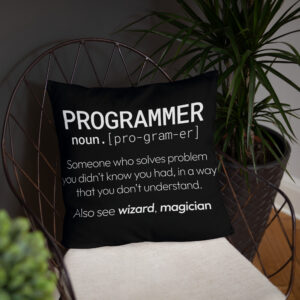 Theory of Relativity Programmer Techie Pillow