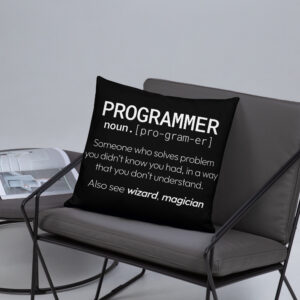 Theory of Relativity Programmer Techie Pillow