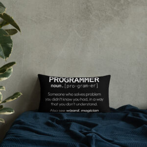 Theory of Relativity Programmer Techie Pillow