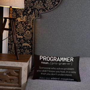 Theory of Relativity Programmer Techie Pillow