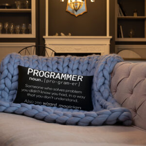 Theory of Relativity Programmer Techie Pillow