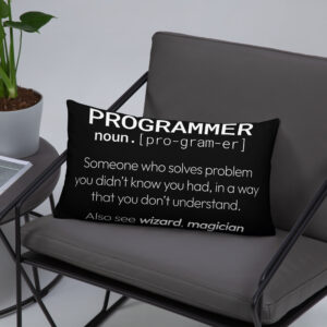 Theory of Relativity Programmer Techie Pillow