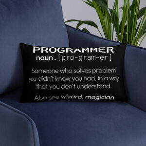 Theory of Relativity Programmer Techie Pillow