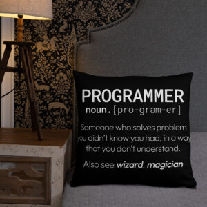 Theory of Relativity Programmer Techie Pillow