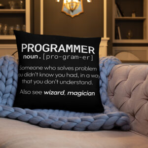 Theory of Relativity Programmer Techie Pillow