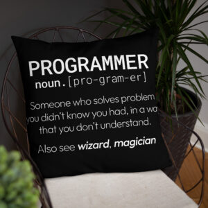 Theory of Relativity Programmer Techie Pillow