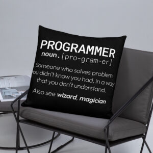 Theory of Relativity Programmer Techie Pillow