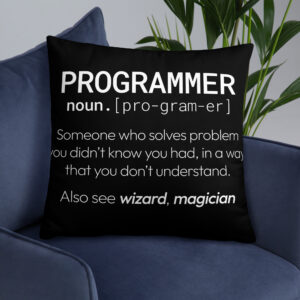 Theory of Relativity Programmer Techie Pillow