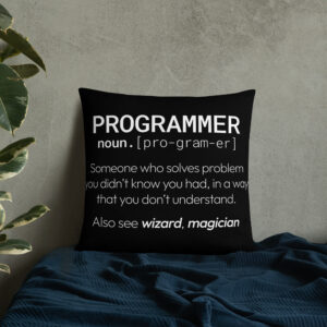 Theory of Relativity Programmer Techie Pillow