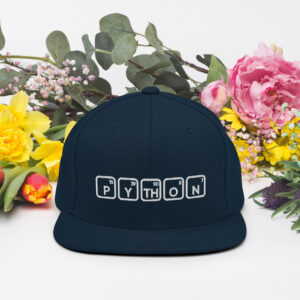Python Developer Snapback Hat
