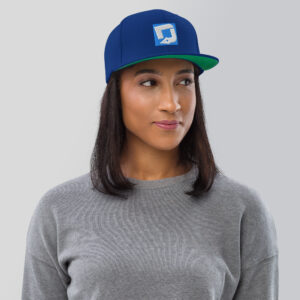 Dakidarts Snapback Hat